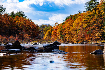 Rocks in a calm New England river in autumn