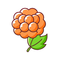 cloudberry icon, fruits vector icon - simple vector illustration of a cloudberry, in a simple and clean style, suitable for food and health themes. fruits flat illustration.