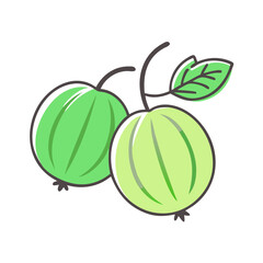 gooseberry icon, fruits vector icon - simple vector illustration of a gooseberry, in a simple and clean style, suitable for food and health themes. fruits flat illustration.