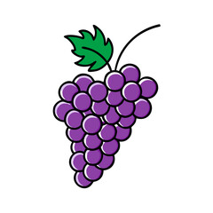 grape icon, fruits vector icon - simple vector illustration of a grape, in a simple and clean style, suitable for food and health themes. fruits flat illustration.