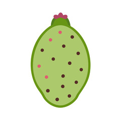 prickly pear  illustration
