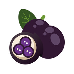 jabuticaba icon, fruits vector icon - simple vector illustration of a jabuticaba, in a simple and clean style, suitable for food and health themes. fruits flat illustration.