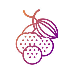 longan icon, fruits vector icon - simple vector illustration of a longan, in a simple and clean style, suitable for food and health themes. fruits flat illustration.