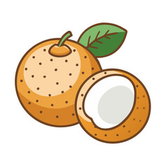 longan icon, fruits vector icon - simple vector illustration of a longan, in a simple and clean style, suitable for food and health themes. fruits flat illustration.