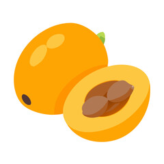 loquat icon, fruits vector icon - simple vector illustration of a loquat, in a simple and clean style, suitable for food and health themes. fruits flat illustration.