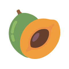 lucuma icon, fruits vector icon - simple vector illustration of a lucuma, in a simple and clean style, suitable for food and health themes. fruits flat illustration.