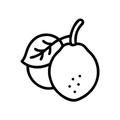 loquat icon, fruits vector icon - simple vector illustration of a loquat, in a simple and clean style, suitable for food and health themes. fruits flat illustration.