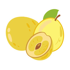 marula icon, fruits vector icon - simple vector illustration of a marula, in a simple and clean style, suitable for food and health themes. fruits flat illustration.