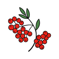 mountain ash berries icon, fruits vector icon - simple vector illustration of a mountain ash berries, in a simple and clean style, suitable for food and health themes. fruits flat illustration.