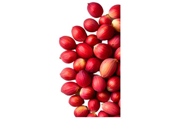 Red tulip buds clustered together on a white isolated background, ideal for spring or floral-themed designs.