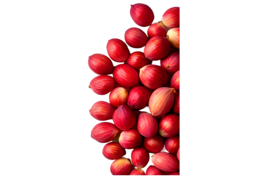 Red tulip buds clustered together on a white isolated background, ideal for spring or floral-themed designs.