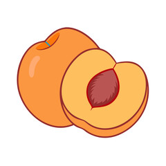 Fresh whole peach and half peach vector illustration with pit, showcasing vibrant orange and yellow colors, perfect for healthy eating, fruit, or summer-themed designs.