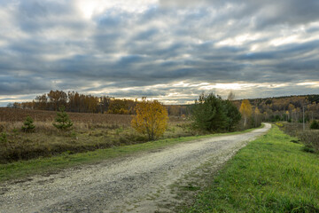 A road with trees in the background and a cloudy sky