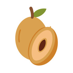 sapodilla icon, fruits vector icon - simple vector illustration of a sapodilla, in a simple and clean style, suitable for food and health themes. fruits flat illustration.