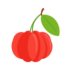 surinam cherry icon, fruits vector icon - simple vector illustration of a surinam cherry, in a simple and clean style, suitable for food and health themes. fruits flat illustration.