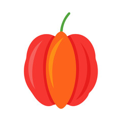 surinam cherry icon, fruits vector icon - simple vector illustration of a surinam cherry, in a simple and clean style, suitable for food and health themes. fruits flat illustration.