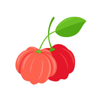 red and orange fruit with green leaf clip art preview