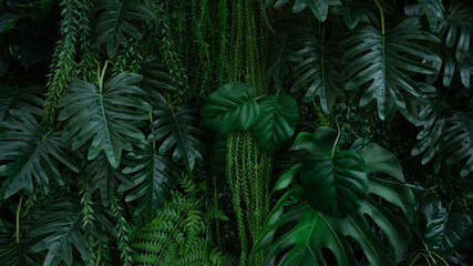 Full Frame of Green Leaves Pattern Background, Nature Lush Foliage Leaf Texture, tropical leaf.