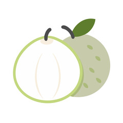 white sapote icon, fruits vector icon - simple vector illustration of a white sapote, in a simple and clean style, suitable for food and health themes. fruits flat illustration.