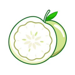 white sapote icon, fruits vector icon - simple vector illustration of a white sapote, in a simple and clean style, suitable for food and health themes. fruits flat illustration.