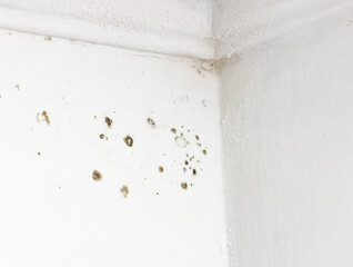 A white wall with a white corner and a black spot