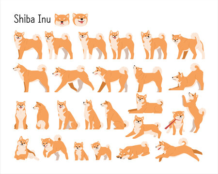 shiba-inA collection of various Shiba Inu movements. Dog character in simple flat design style illustrations.u
