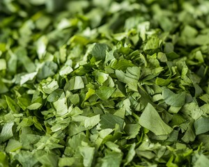 Vibrant Fresh Herbs for National Stuffing Day, Thanksgiving, and Christmas Preparation