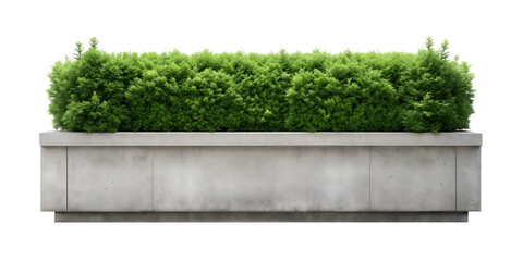 Modern concrete planter box filled with lush green shrubs, creating a stylish and contemporary greenery display, isolated on a white background. PNG, cutout, or clipping path.
