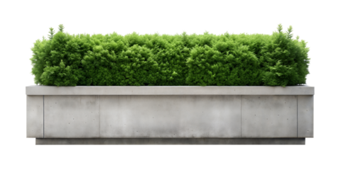 Modern concrete planter box filled with lush green shrubs, creating a stylish and contemporary greenery display, isolated on a white background. PNG, cutout, or clipping path.