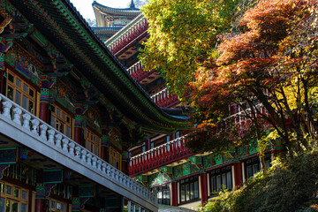 Obraz premium autumn trees and Buddhist temple building