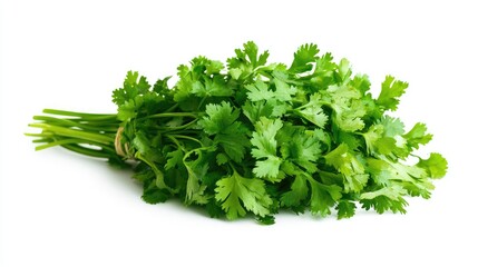 Obraz premium Fresh cilantro bunch, ideal for enhancing various culinary dishes and flavors isolated on white background