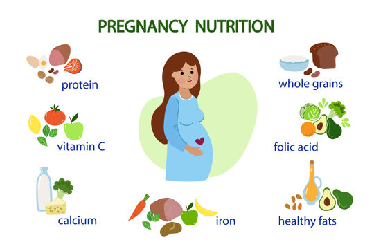 Pregnancy nutrition infographic. Pregnant woman cartoon character and health food.  High calcium, iron,  folate, protein products. Cartoon flat design vector  illustration.