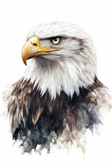 Obraz premium A detailed portrait of a majestic eagle showcasing its fierce expression and intricate feather patterns in natural colors. Generative AI