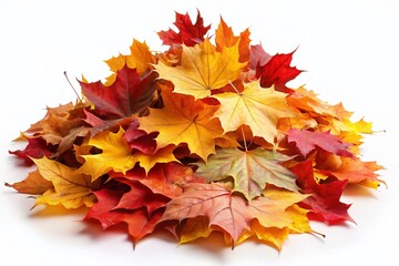 Autumn maple leaves, a pile on white, ready for your text.