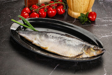 Whole raw salted herring fish