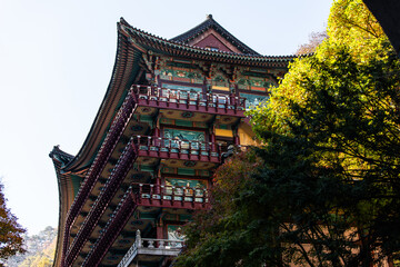 Fototapeta premium autumn trees and Buddhist temple building