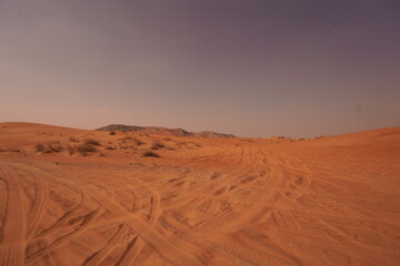 sand dunes in the desert