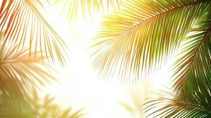 Obraz premium Vibrant palm leaves frame a glowing background, creating a tropical and serene atmosphere.