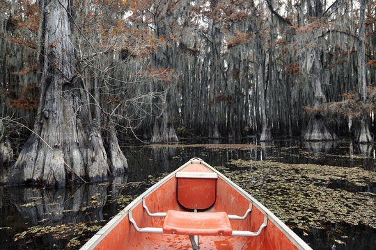 Canoe on a calm Caddo Lake