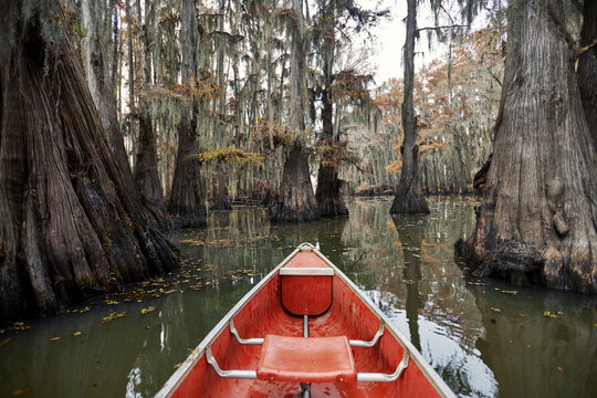 Canoe on a calm Caddo Lake