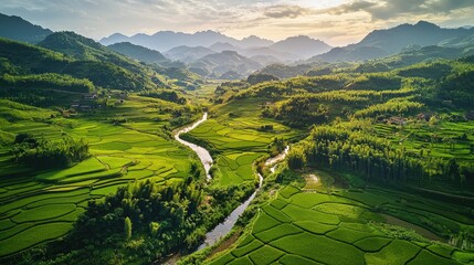 Rural scenery in Taohuajiang Bamboo Sea Scenic Area. One of the most beautiful images in the world, vivid, beautiful, and popular on Artstation,