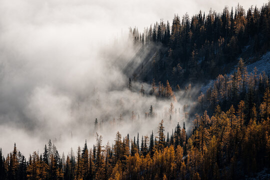 Washington Autumn in the Alpine Pacific Northwest