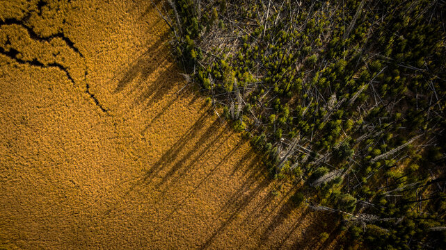 Washington Autumn in the Alpine Pacific Northwest