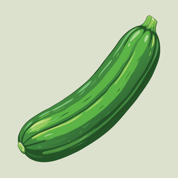 green zucchini vegetable on light background clip art preview