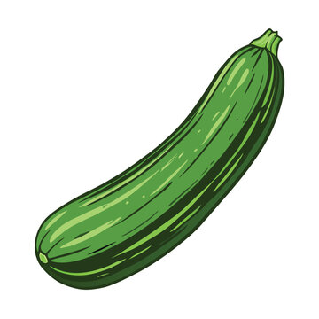 green zucchini vegetable isolated white clip art preview