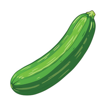 green zucchini isolated on white clip art preview