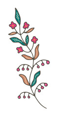 Detailed Floral Branch Illustration vector