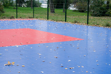 Colorful outdoor sports court covered with autumn leaves in a park, symbolizing seasonal change and...