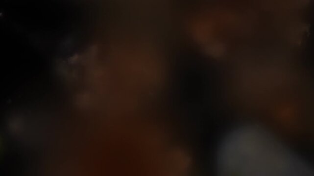 Methods of study of Protozoa, Algae and bacteria under the microscope in the biology laboratory.