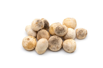 Fototapeta premium Pile of fresh straw mushrooms bud isolated on white background.